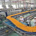 Lemon Juice Processing Line